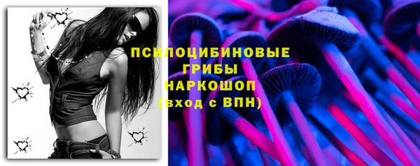 крисы Каменногорск