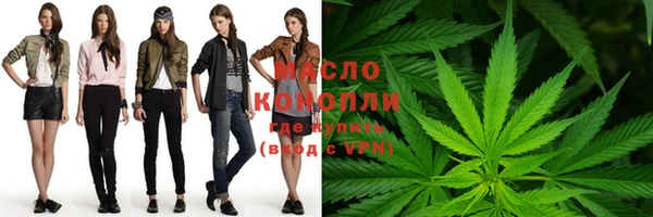 стаф Каменка