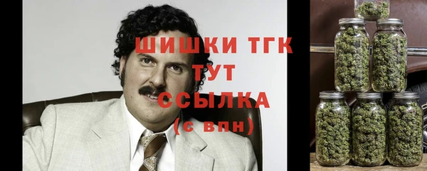 ГАЛЛЮЦИНОГЕННЫЕ ГРИБЫ Карпинск