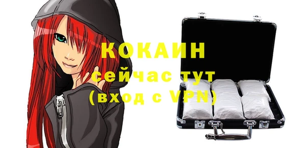 крисы Каменногорск