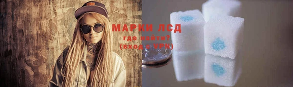 ECSTASY Инсар