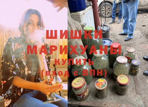 крисы Каменногорск