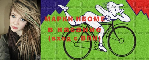 стаф Каменка