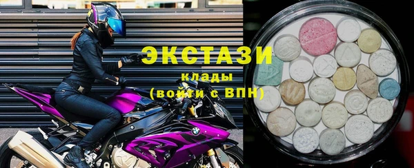 стаф Каменка