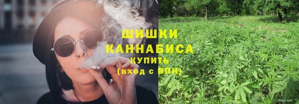 стаф Каменка
