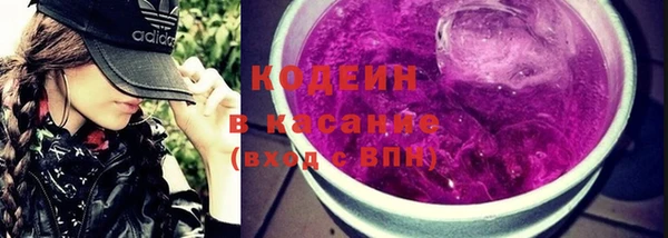 крисы Каменногорск