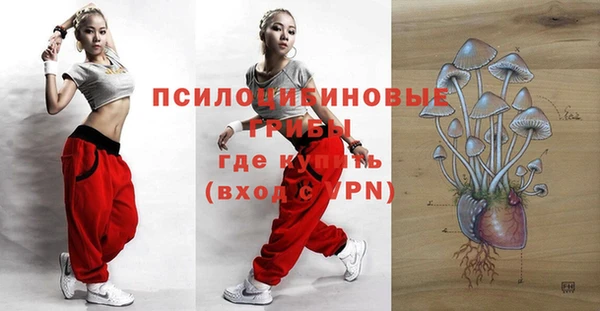 ГАЛЛЮЦИНОГЕННЫЕ ГРИБЫ Карпинск