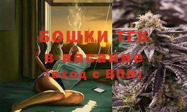 стаф Каменка
