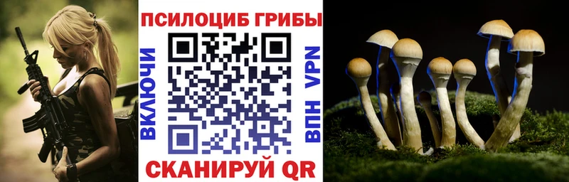 Галлюциногенные грибы ЛСД  купить наркотик  Тутаев 
