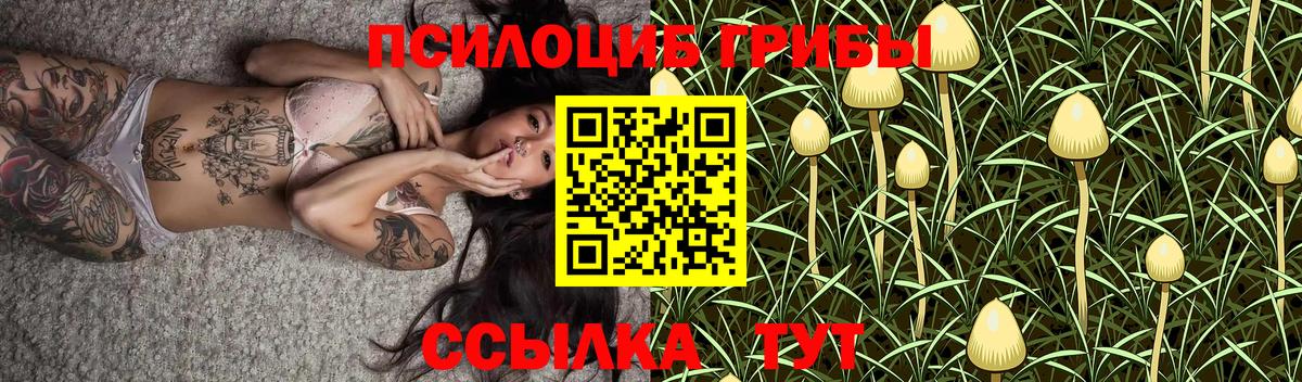 Галлюциногенные грибы мухоморы Тутаев