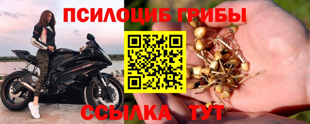 Псилоцибиновые грибы ЛСД  Тутаев  Галлюциногенные грибы прущие грибы 